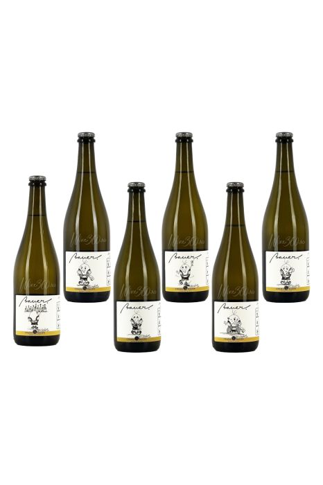 Bauer - Bobita - Feteasca Regala - Pachet colectie - 2025 [2]
