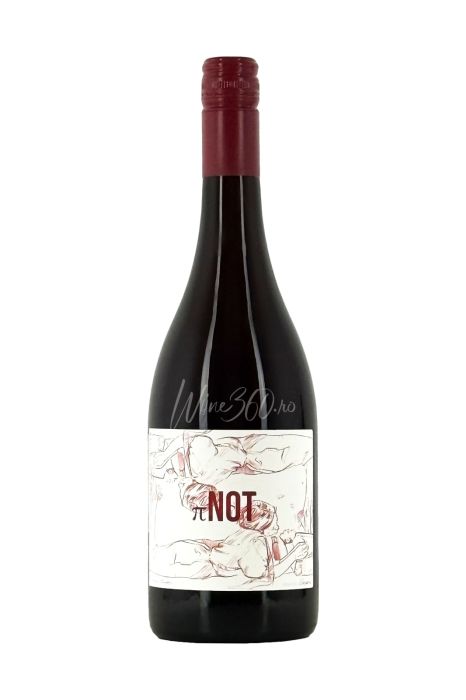 Pivnita Savu - Pinot by Savu - SGR [2]