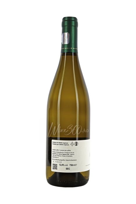 Serve - Terra Romana - Chardonnay - 2021 [3]