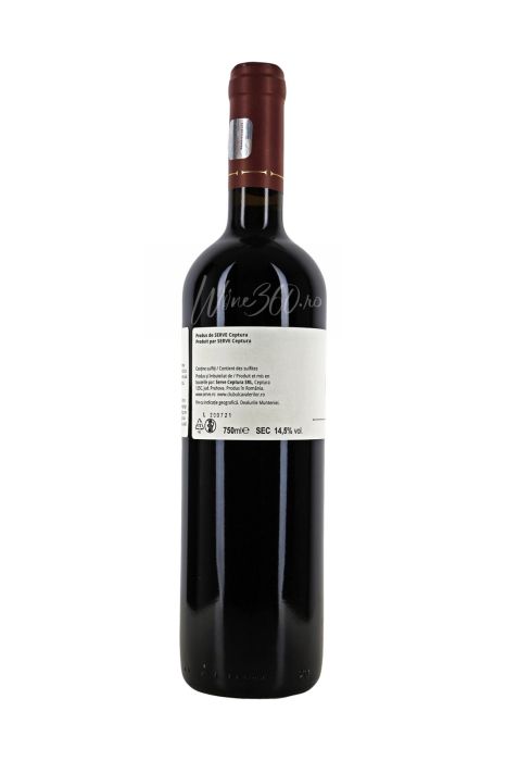 SERVE - Terra Romana - Feteasca Neagra - 2017 [2]