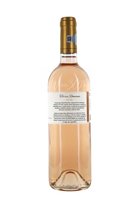SERVE - Terra Romana - Roze - 2021 [2]