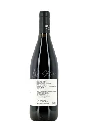 1000 de Chipuri - Pinot Noir - 2021 [1]
