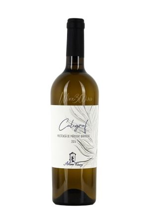 Artisan Winery - Caligraf - Mustoasa de Maderat Barrique - 2024 - SGR [1]