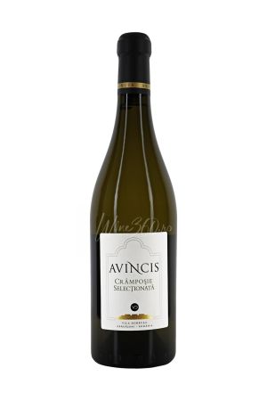 Vinuri albe - Avincis - Cramposie Selectionata - 2024 - SGR