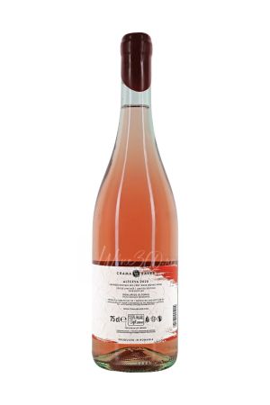 Bauer - Altceva Novac Rose - 2020 [0]