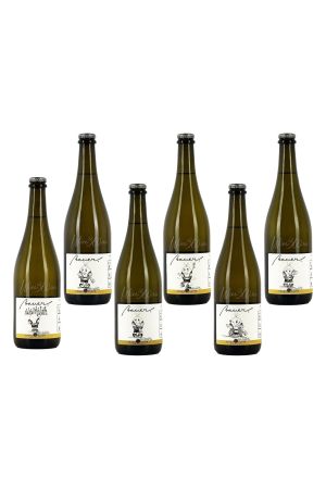 Bauer - Bobita - Feteasca Regala - Pachet colectie - 2025 [1]