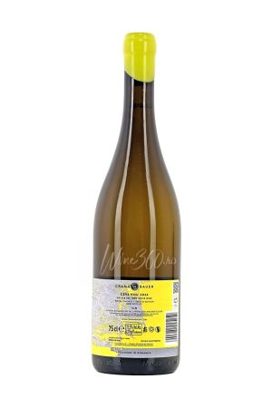 Bauer - Ceva Nou Editie Limitata - 2024 - SGR [1]