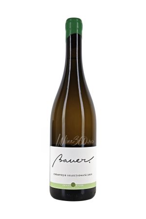 Bauer - Cramposie Selectionata - 2024 - SGR