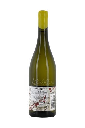 Bauer - V1N - Viognier - 2023 - SGR [1]