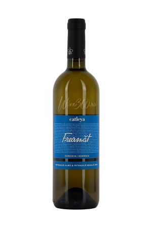 Catleya - Freamat Alb - 2024 - SGR