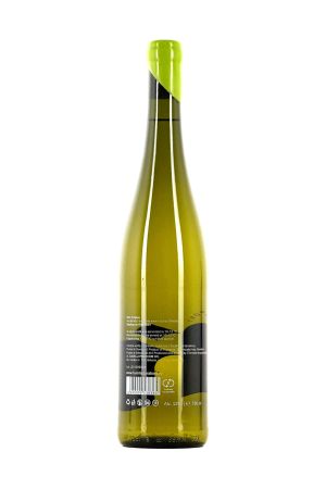 DARABONT - Projekt - Riesling de Rhin - 2024 - SGR [1]