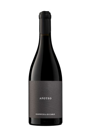 Giannicola Di Carlo - Apoteo Rosso
