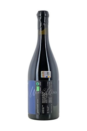 Lechburg - Pinot Noir - Cru Vigna del Corvo - 2020 [1]