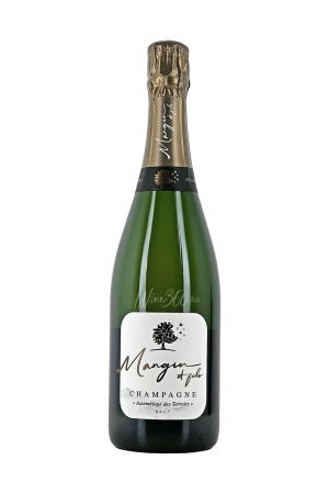 Vinuri albe - MANGIN ET FILS - Champagne - BRUT - SGR