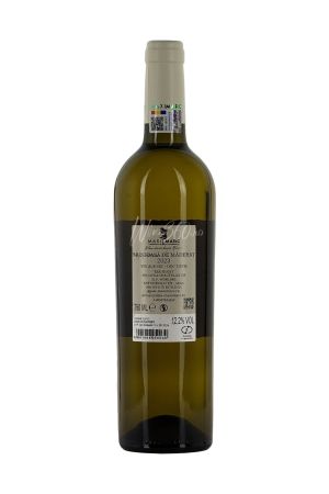 Vinuri albe - MaxiMarc - Mustoasa de Maderat - 2023 - SGR