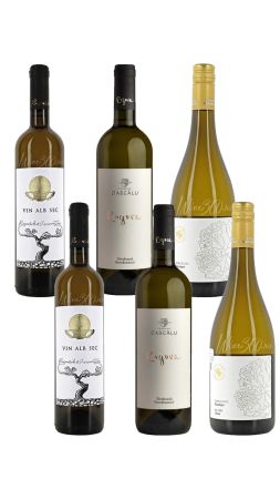 Pachet Spritul corect - Statiunea Pietroasa, Domeniile Dascalu, Darabont