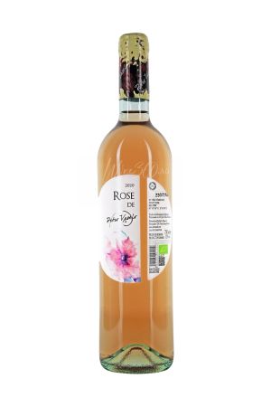 Petro Vaselo - Rose de Petro Vaselo - 2023 - SGR