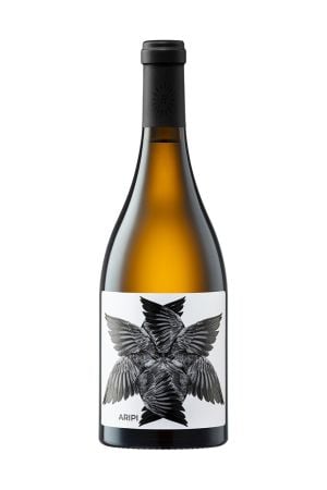 Vinuri albe - Rasova - Aripi - Alb - 2022