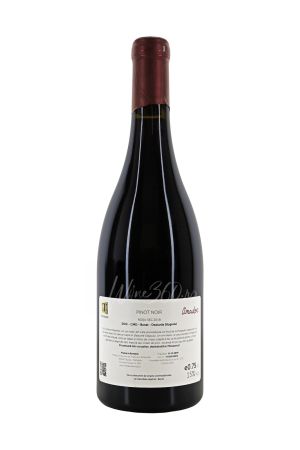 Thesaurus - Amadoc - Pinot Noir - 2018 [1]