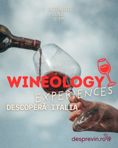 Wineology Experiences – Workshop Degustare Vinuri Italia București [1]