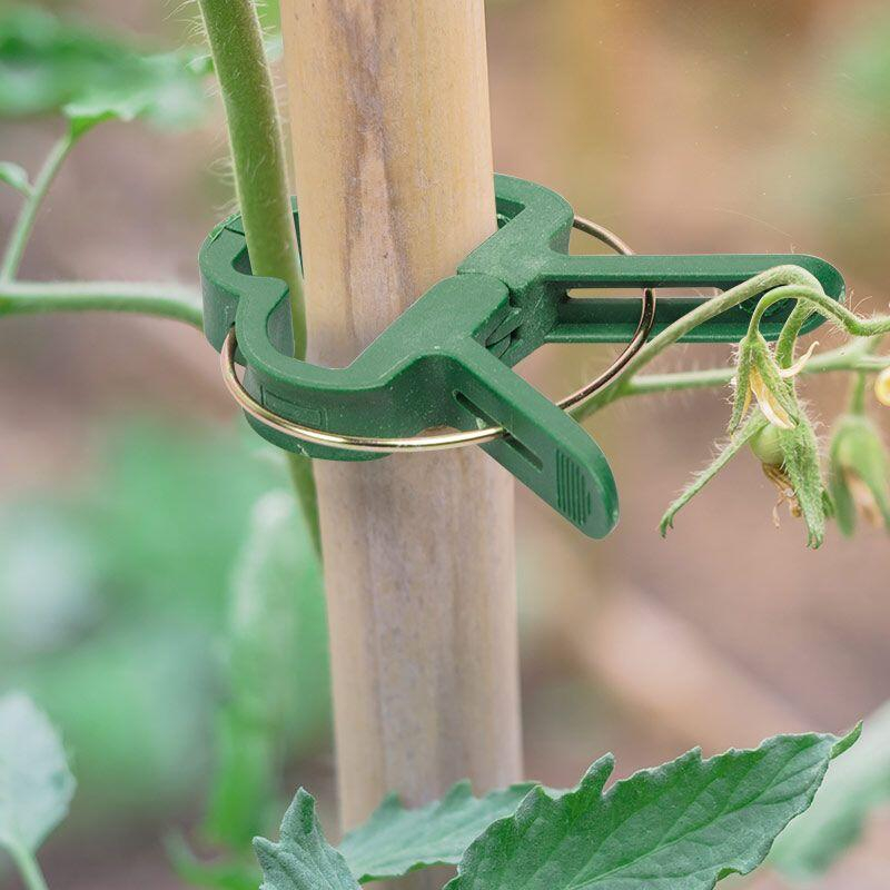 Clema de prindere pentru plante, 58 mm, pentru araci de max 16.2 mm, set 12 buc, PlantClip [8]