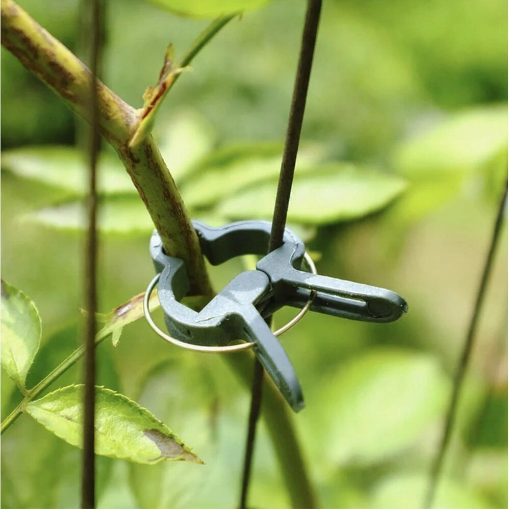 Clema de prindere pentru plante, 58 mm, pentru araci de max 16.2 mm, set 12 buc, PlantClip [7]