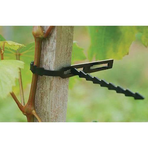 Coliere pentru prins plante, 220 mm, 80 buc [2]