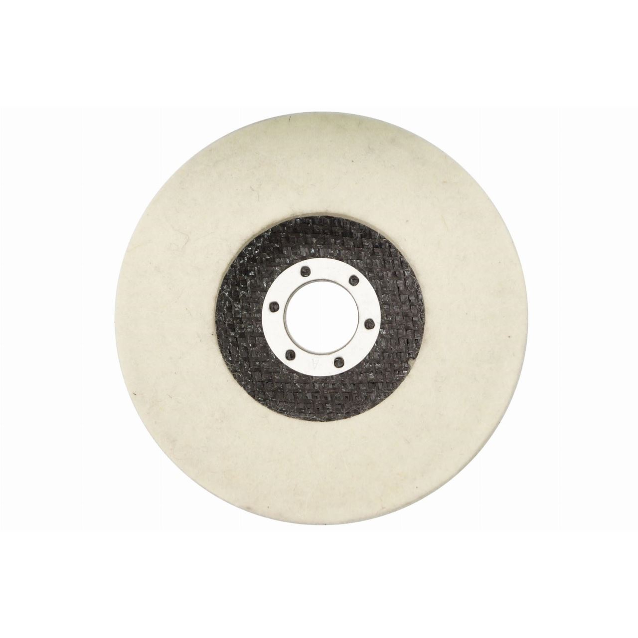 Disc lustruit, pasla, 125x10x22.2 mm [2]