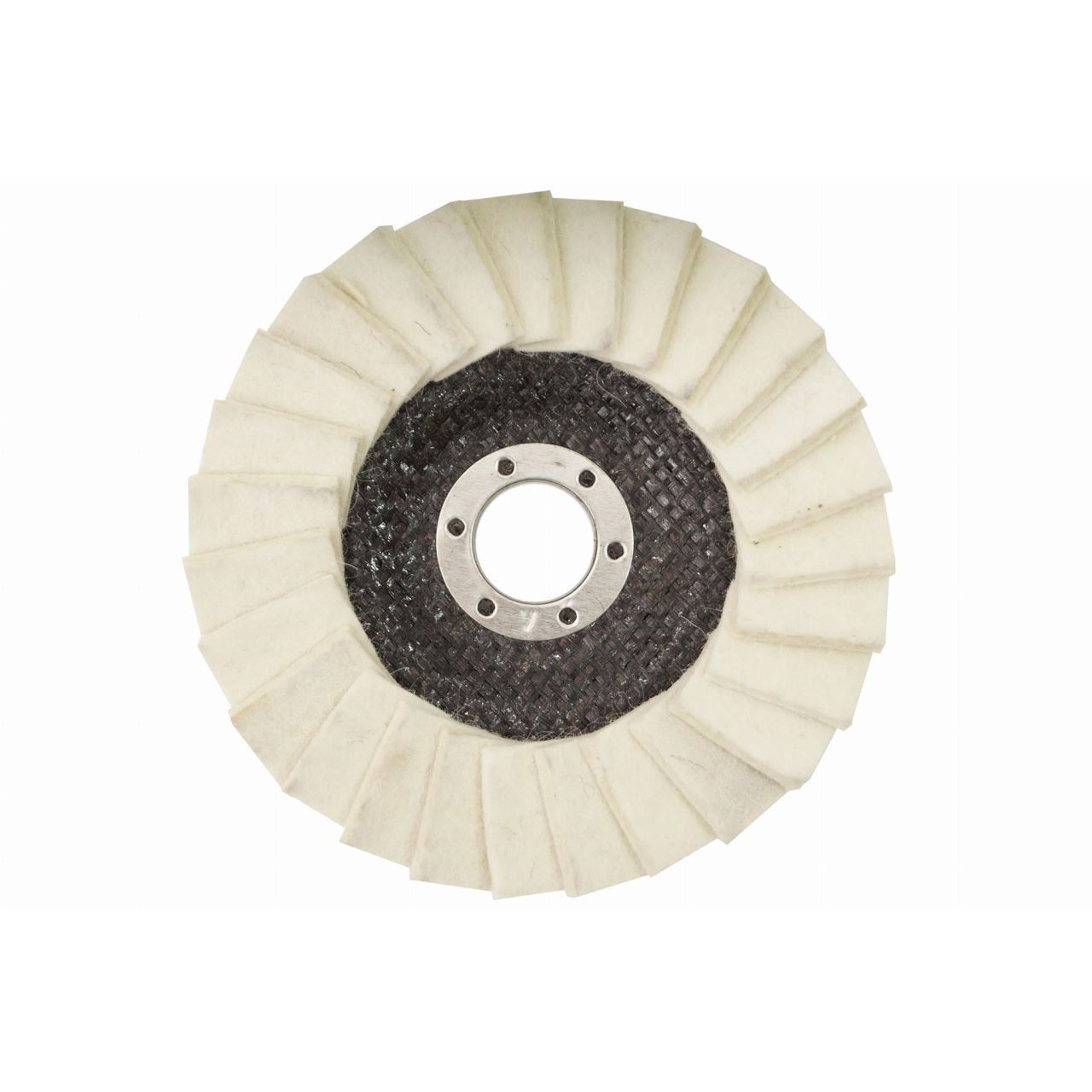 Disc pasla lamelar, 125x10x22.2 mm [4]