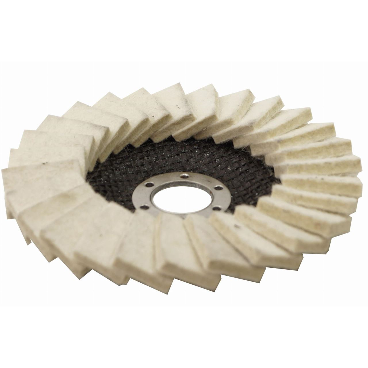 Disc pasla lamelar, 125x10x22.2 mm [2]