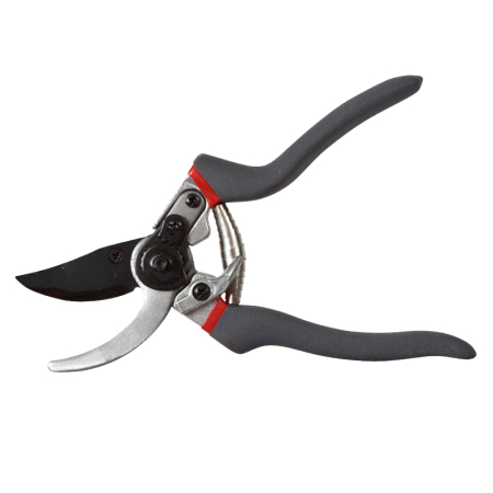 Gradinarit  - FOARFECA VIE CU LAMELE / 12MM