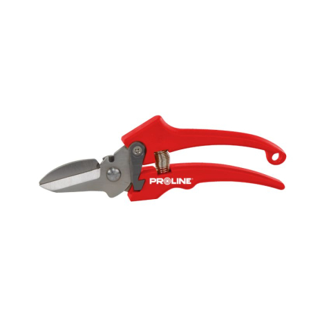 Foarfeci - FOARFECA VIE INOX ALUNGITA / 18MM