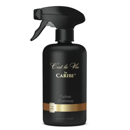 Solutii intretinere - ODORIZANT PARFUM CARIBI PENTRU INTERIOR 878 250ML