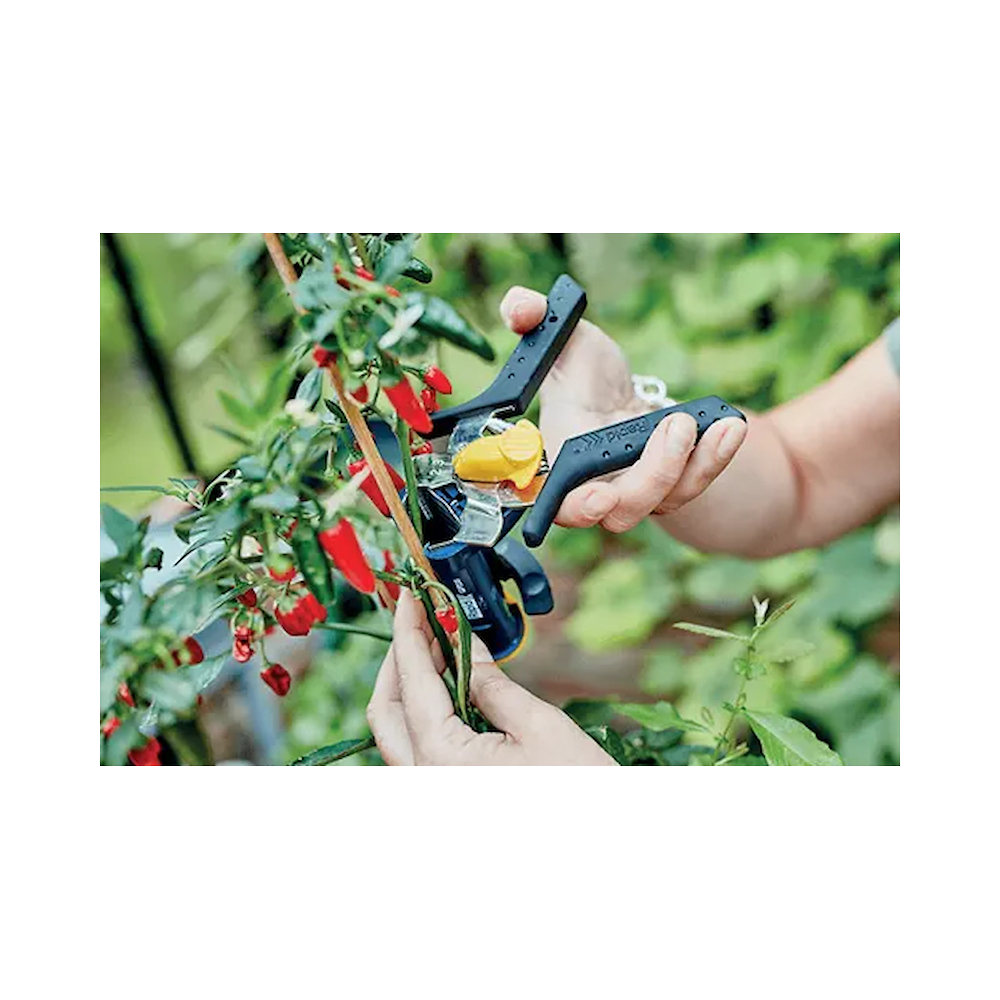 Rapid 24311200, Cleste pentru gradina GP238, cu magazie, functional cu inele tip VR38 6, 11 si 16mm [7]