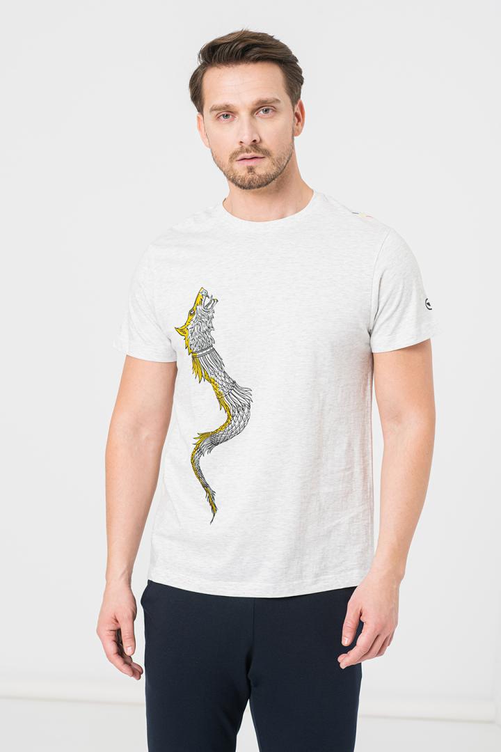 TRICOU CASUAL DRACON BARBATI LIGHT GRAY-XXL [1]