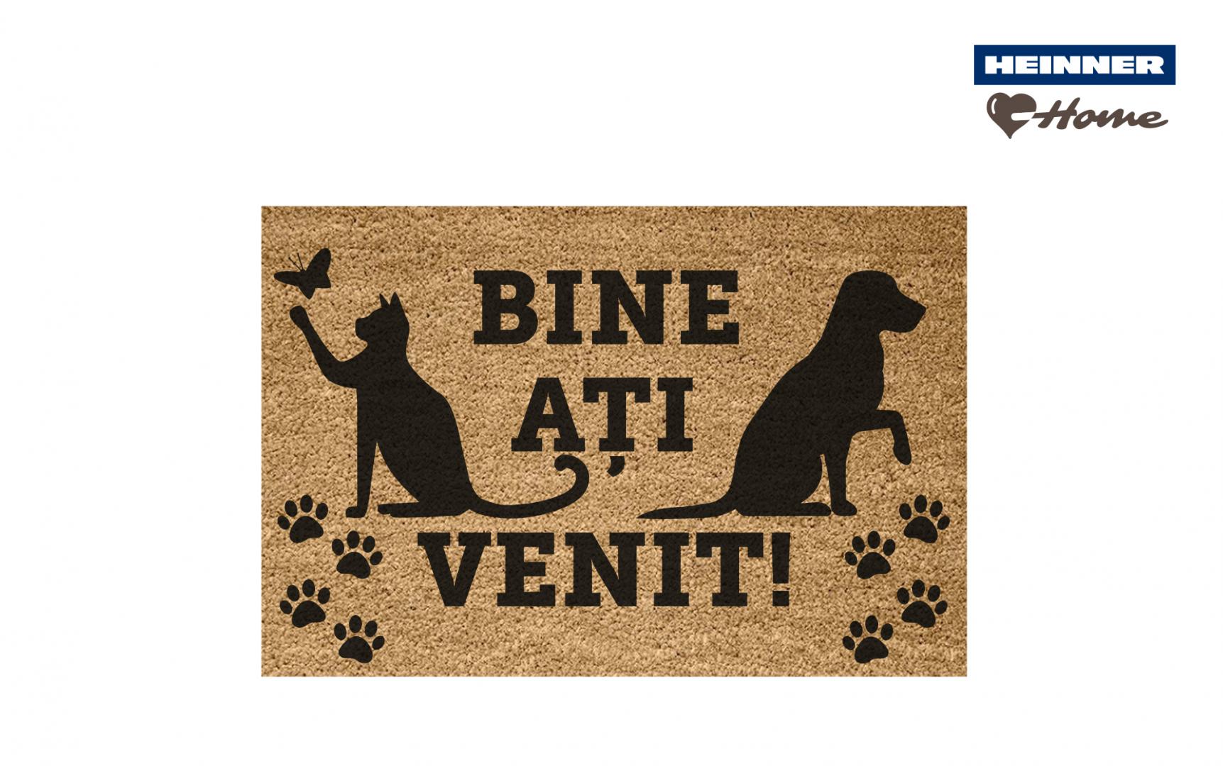 Covorase intrare - COVORAS INTRARE ANTIDERAPANT 60X40 CM, PAWS, HEINNER HOME