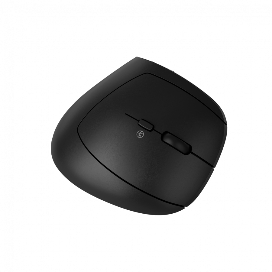 CANYON mouse MW-25 Ergonomic LED AA Dual mode Wireless Black [4]