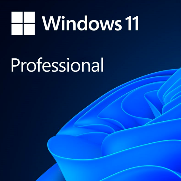 Microsoft Windows Professional 11 64-bit All Languages Online Product Key License 1 License Downloadable ESD NR [1]