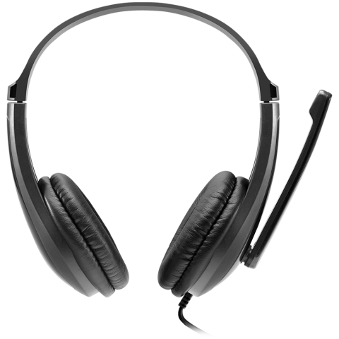 CANYON PC headset CHSU-1 PC Mic USB 2m Black [1]