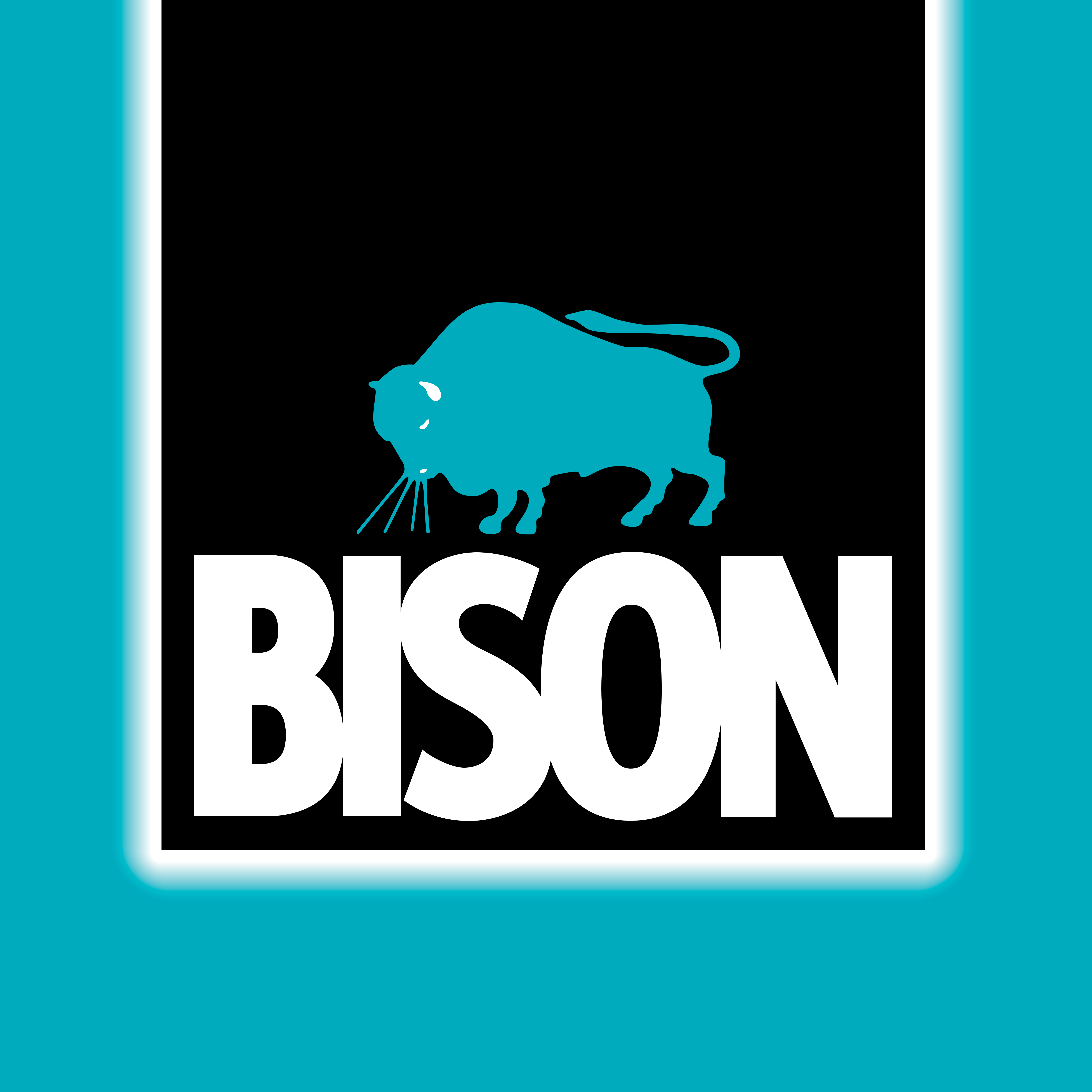 Bison