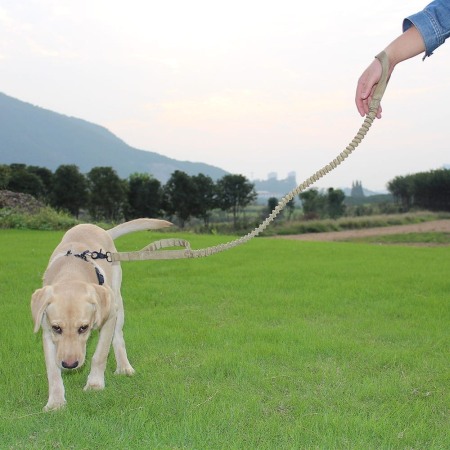 Dog/Pet Shop - Lesa Elastică Tactică YNNA® ,Caine, Prindere Centură Auto, Anti-Șoc, până la 70 kg, Kaki