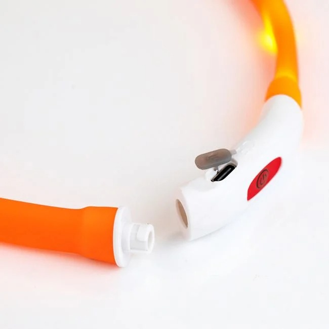 Zgarda cu Lumina LED pentru Caini – 3 Moduri [3]