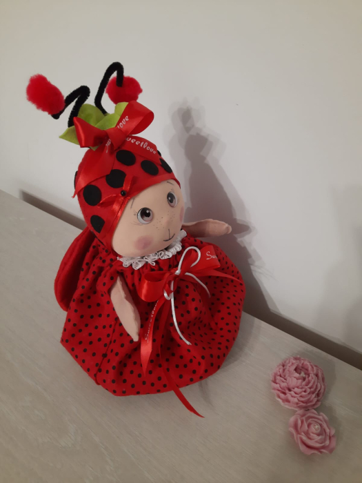 Buburuza decoratiune [2]