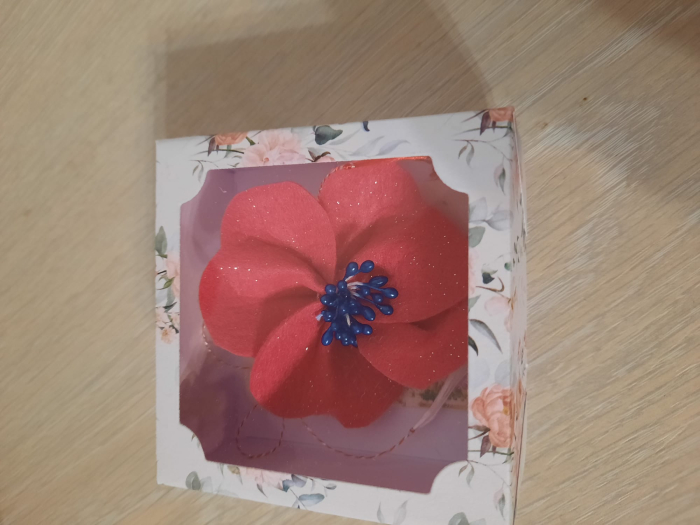 Brosa floare rosie [3]