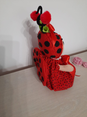 Buburuza decoratiune [2]