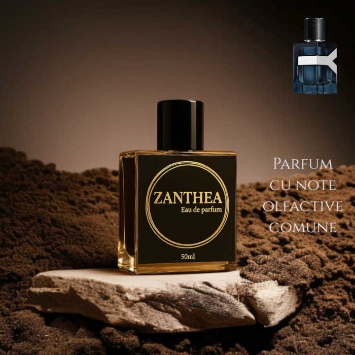 Zanthea Rift Walker Code inspirat din Y Intense - Yves Saint Laurent [1]