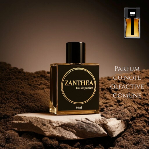 Parfumuri bărbați - Zanthea Maschio Profumo inspirat din Dior Homme Parfum - Dior