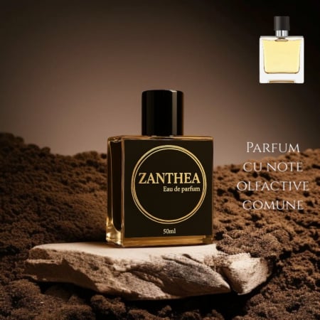 Parfumuri bărbați - Zanthea Radiant Shade inspirat din Terre D'Hermes - Hermes