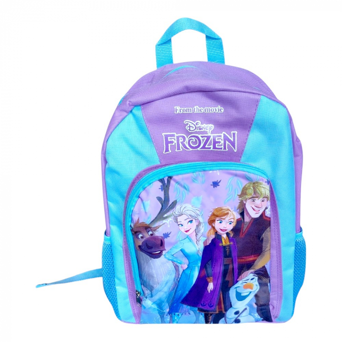 Ghiozdan copii, 40x30x15 cm, cu doua compartimente, multicolor, bretele intarite si ajustabile, Frozen [1]