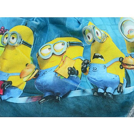 Căciulă pentru băieți, multicolor, Minions [2]